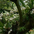 DSCN7445.JPG