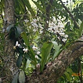 DSCN7446.JPG