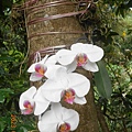 DSCN7442.JPG