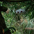 DSCN7443.JPG