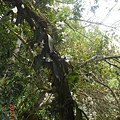 DSCN7449.JPG