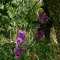 DSCN7444.JPG