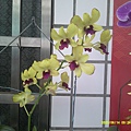 DSCF0005.JPG