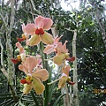 IMG_5504.JPG