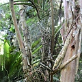 IMG_5506.JPG