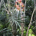 IMG_5505.JPG