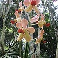 IMG_5507.JPG