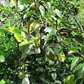 IMG_5576.JPG