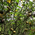 IMG_5577.JPG