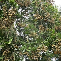 IMG_5647.JPG
