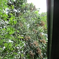 IMG_5657.JPG