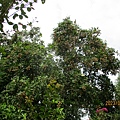 IMG_5645.JPG