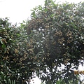 IMG_5655.JPG