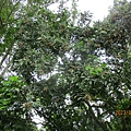 IMG_5654.JPG