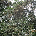 IMG_5664.JPG