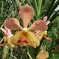 IMG_5651.JPG