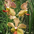IMG_5652.JPG