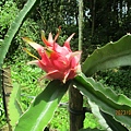 IMG_5691.JPG