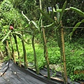IMG_5692.JPG