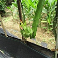 IMG_5676.JPG