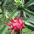 IMG_5674.JPG