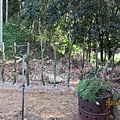 IMG_2660.JPG