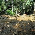 IMG_2637.JPG