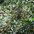 IMG_5687.JPG
