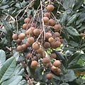 IMG_5688.JPG