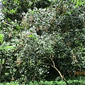 IMG_5685.JPG