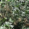 IMG_5686.JPG