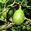 IMG_5719.JPG