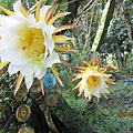 IMG_5738.JPG