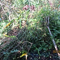 IMG_5748.JPG