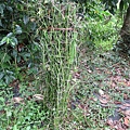IMG_5757.JPG