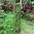 IMG_5754.JPG