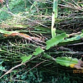 IMG_5752.JPG