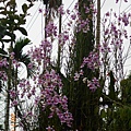 DSCN2988.JPG