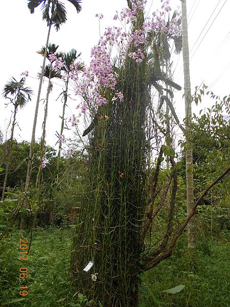 DSCN2989.JPG