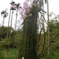 DSCN2989.JPG