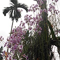 DSCN2994.JPG