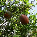 IMG_5743.JPG