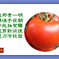 1番茄-3.jpg