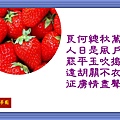 1草莓-3.jpg