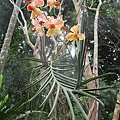 IMG_5881.JPG