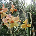 IMG_5879.JPG