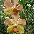IMG_5892.JPG