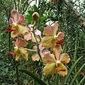 IMG_5891.JPG
