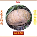 922102.4.8南瓜1 - 複製.jpg