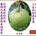 922102.5.17青蘋果已成熟 - 複製.jpg